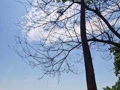 -火炉山森林公园