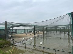 -盐城丹顶鹤湿地生态旅游区