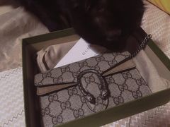 -Gucci(北京SKP店)