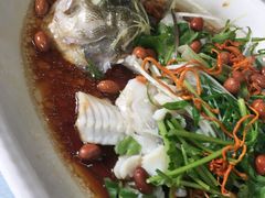 -蒲园食堂(中山大学广州校区南校园店)