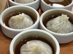 -莱莱小笼·乔艾