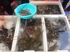 -先锋海鲜市场