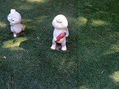 -金龙寺国家森林公园