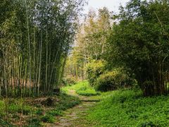 -黄公望隐居地