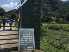 -九鲤溪瀑景区
