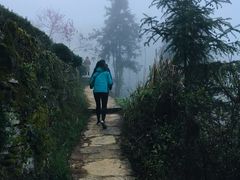 -石潭村