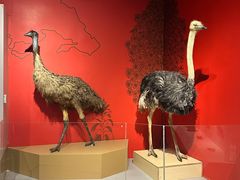 -正佳自然科学博物馆