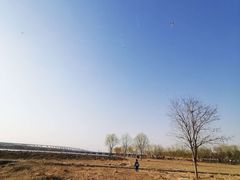 -绿堤公园