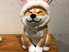 -柴务处·柴犬主题狗咖