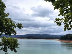 -广州市流溪河国家森林公园