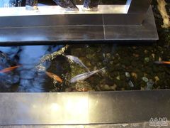 水产区-唐廊烤鸭店(工体店)