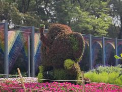 -沈阳植物园