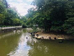 -黔灵山公园