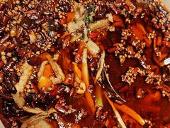 -羊门客在·烤盐池滩羊·川菜