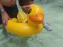 -杭州开元森泊度假乐园