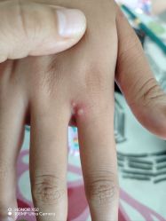 -奇幻丛林(佛罗伦萨小镇店)