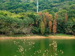 -水濂山森林公园