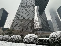 -中央广播电视总台(光华路办公区)
