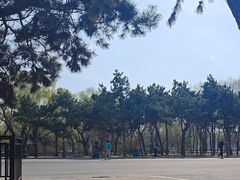 -北陵公园