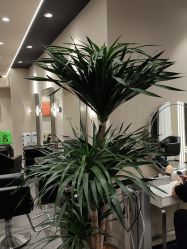 -凯博K-boom Hair Salon