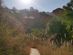 -元谋土林景区(物茂土林)