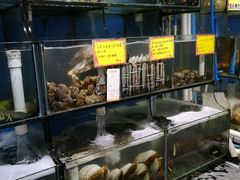 水产区-蚝专家(北滘店)
