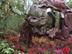 -海南热带野生动植物园