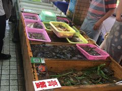 -大湾区中央湿地公园-十九涌