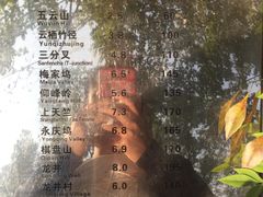 -西湖风景区十里琅珰-五云山