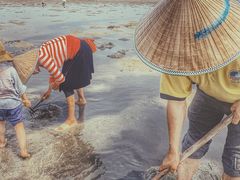 -红树林天天赶海