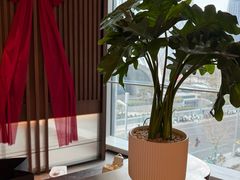 -淮香国色·淮扬菜(正大中心店)