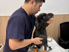 -申普宠物医院·眼科·心内科·影像科(普陀分院)