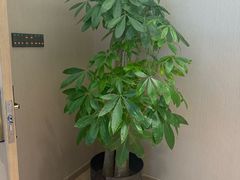 -北京金龙潭御瑞酒店(花园桥地铁站店)