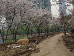-西北湖绿化广场