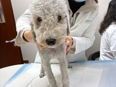 -美联众合动物医院·24h转诊中心