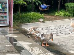 -洛阳市隋唐城遗址植物园