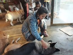 -萌喵咖啡屋(人民东路4号口M16商铺店)