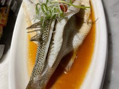 清蒸鲈鱼-小菜园新徽菜(溧阳万达店)