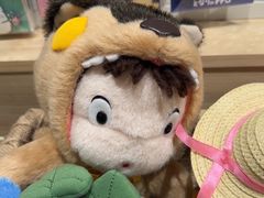 -猫的天空之城概念书店(束河店)