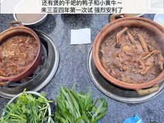 -霞姐屯昌枫木香草鸭店(海螺店)