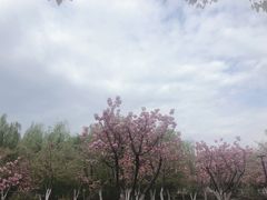 -范蠡湖公园