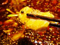-吃城都·鱼蛙火锅(西玉龙街店)
