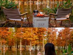 -白鹭湾湿地公园