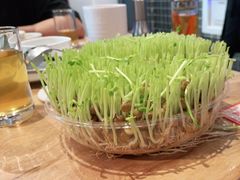 -好彩猪肚鸡(正弘城店)