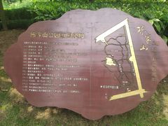 -陈家山荷花公园