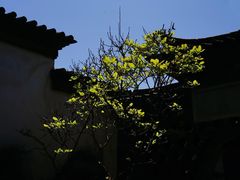-朱家花园