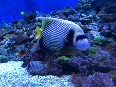 -成都浩海立方海洋公园