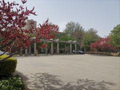 -桃花堤公园