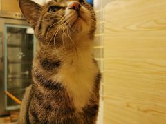 -酒友老火锅(渝中店)