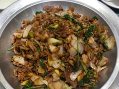 京葱小嫩羊-紫光园·烤鸭(吕家营店)